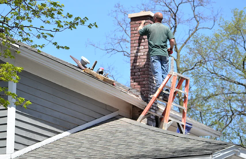 Chimney & Fireplace Inspections Services in Southgate, MI
